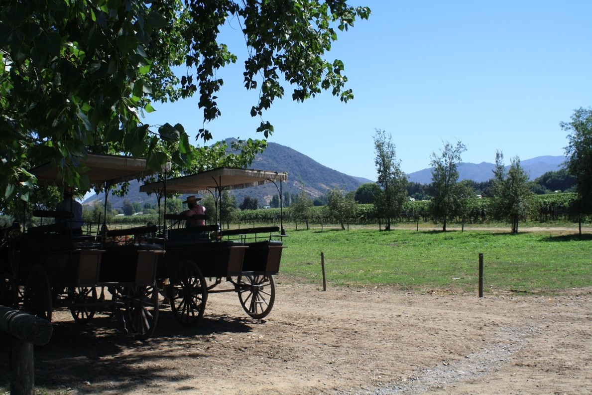 Colchagua