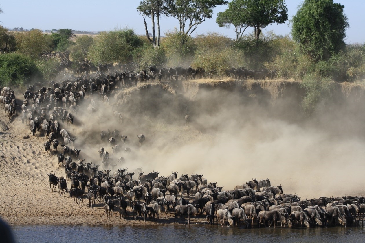 Masai Mara