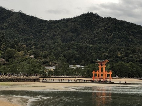 Matsuyama - Miyajima Island