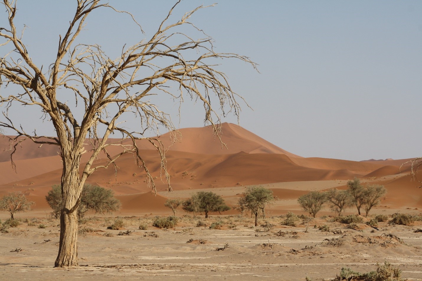 Namibia tip sheet