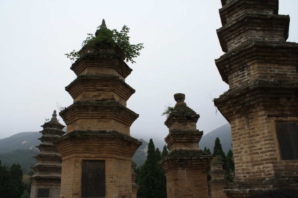 traveling to Luoyang, China