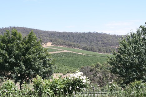 Yarra Valley, Australia