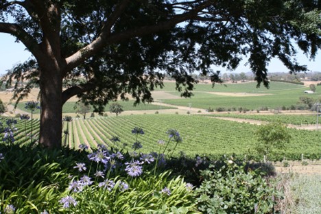 Yarra Valley, Australia