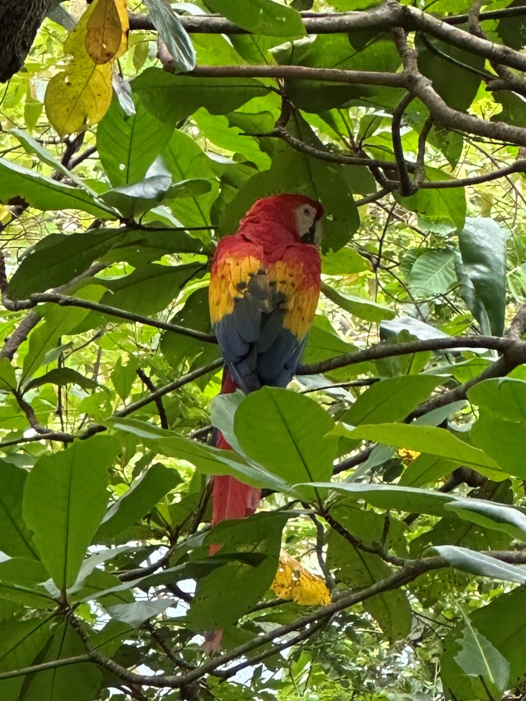 Costa Rica