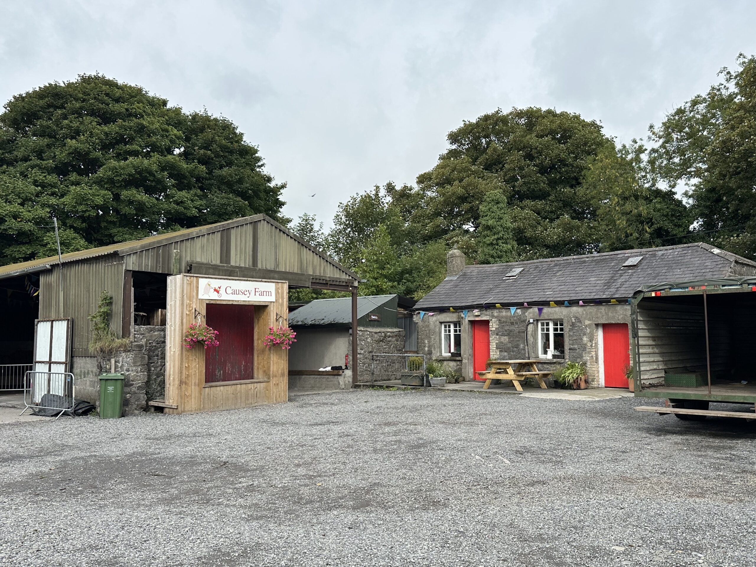 IMG_0467